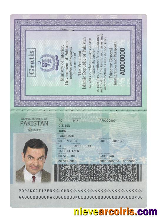 Pakistan new passport 2020-present